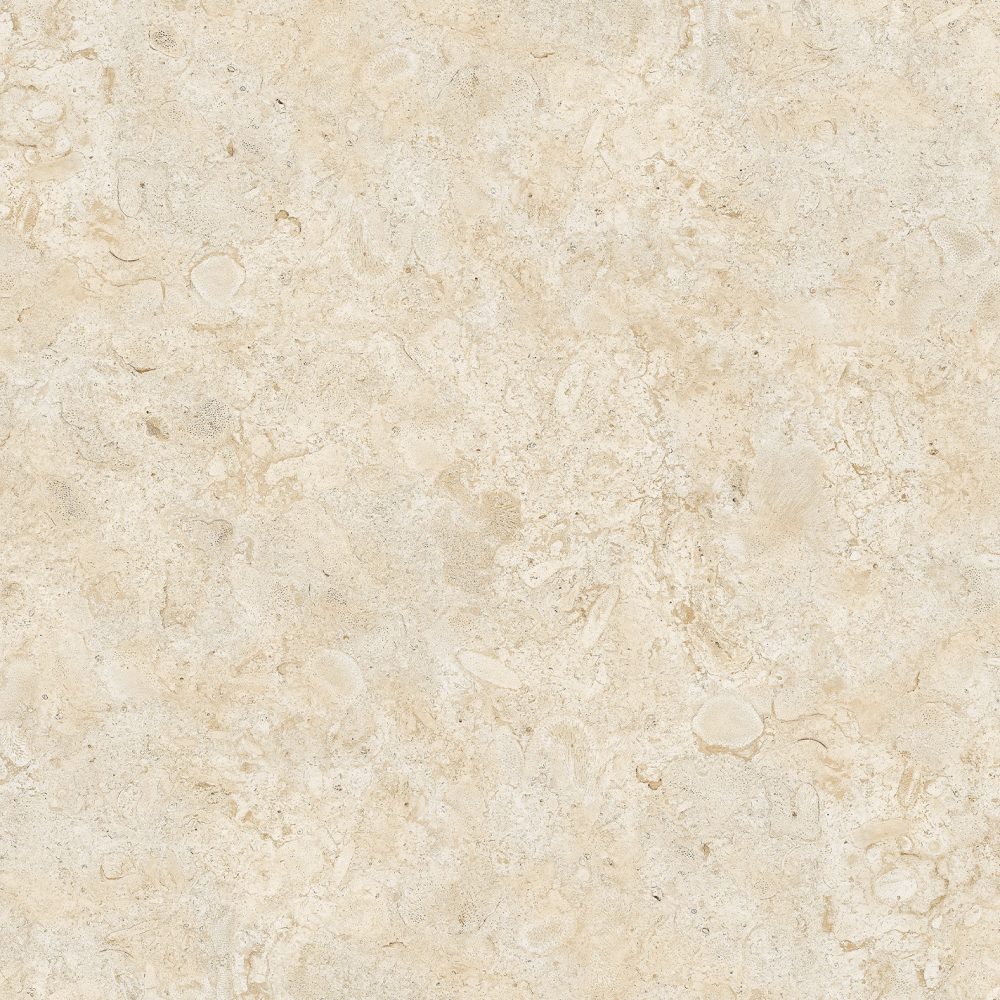 Prima Coralina